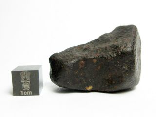 Nwa X Meteorite 33.  60g Cool Cosmic Chondrite