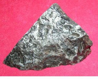 Seymchan pallasite meteorite 28.  3 gram etched corner cut 4