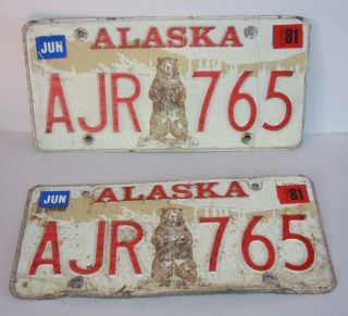 Matching Pair Alaska Collector License Plates 1981 Jun 81 (ajr 765) Bear