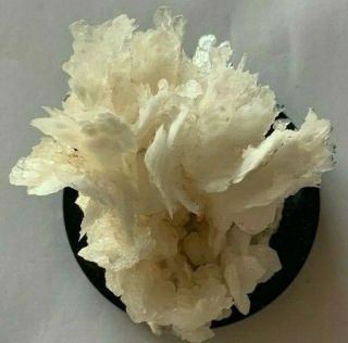 specimen of flowering Calcite Kelly Mine Socorro County Mexico 3