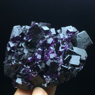 306gnatural Cube Deep Purple Fluorite Crystal Cluster Mineral Specimen/china