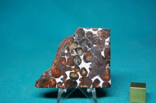 Sericho Pallasite Meteorite 39.  9 Grams