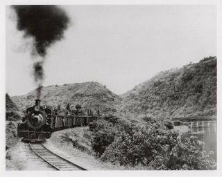 Waimea Bay East Train 1947,  Haleiwa,  North Oahu,  Photo On 8x10 Inch Matt
