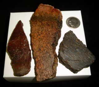 Dino: 3 Faced Fossilized Dinosaur Bone Slabs - 98 G - Lapidary Rough Or Display
