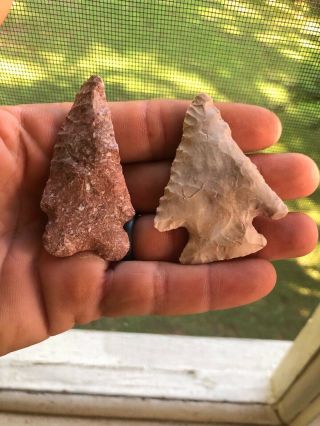 2 Killer Birdpoint Arrowheads Native American Artifacts