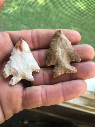 2 Missouri Birdpoint Arrowheads Native American Artifacts