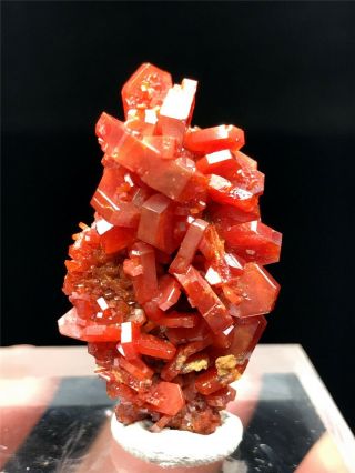 17g Natural Red Vanadinite On Barite Crystal Rare Mineral Specimens Morocco
