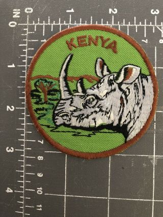Kenya Rhinoceros Patch Rhinos Africa Safari Big Five Nairobi Maasai Mara Reserve