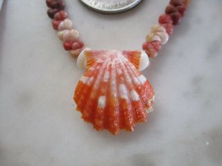 Sunrise Kahelelani Shell Necklace.  Dark Orange Sunrise