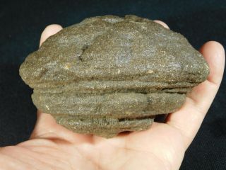 A Giant 100 Natural U.  F.  O.  Shaped Moqui Marble Or Shaman Stone Utah 588gr E