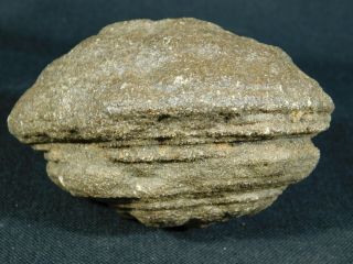 A Giant 100 Natural U.  F.  O.  Shaped Moqui Marble or Shaman Stone Utah 588gr e 2