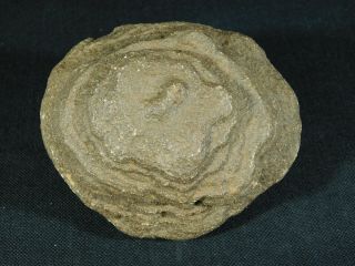 A Giant 100 Natural U.  F.  O.  Shaped Moqui Marble or Shaman Stone Utah 588gr e 4