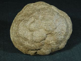 A Giant 100 Natural U.  F.  O.  Shaped Moqui Marble or Shaman Stone Utah 588gr e 5