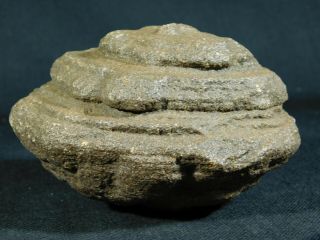A Giant 100 Natural U.  F.  O.  Shaped Moqui Marble or Shaman Stone Utah 588gr e 6