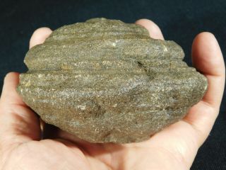A Giant 100 Natural U.  F.  O.  Shaped Moqui Marble or Shaman Stone Utah 588gr e 7