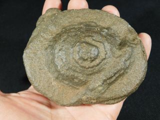 A Huge 100 Natural U.  F.  O.  Shaped Moqui Marble Or Shaman Stone Utah 488gr E