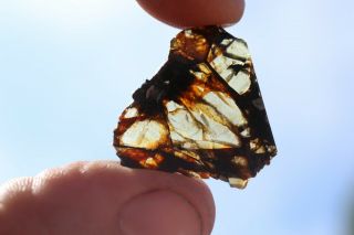 Admire Meteorite Pallasite Part Slice 1.  5 Grams