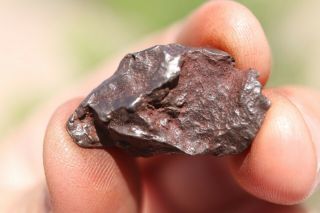 Sikhote Alin Meteorite Individual 10 Grams