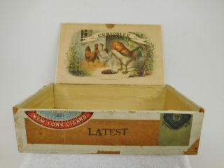 Antique Vintage 1800 ' s Wood Cigar Box w/ Colorful Rooster and Chicken Graphics 2