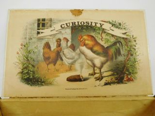 Antique Vintage 1800 ' s Wood Cigar Box w/ Colorful Rooster and Chicken Graphics 3