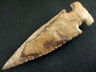 Fine Authentic Collector Grade 10 Big Sandy E - Notched Point Arrowheads 4
