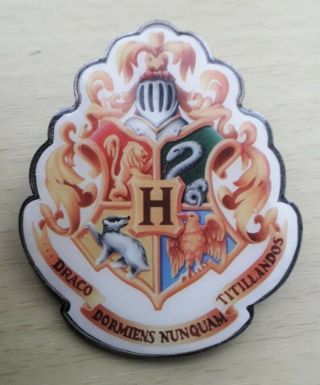 Harry Potter Set Of Three Large Enamel Pin/Brooch Badges 3