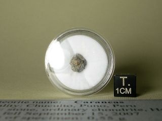 meteorite Carancas,  chondrite H4 - 5,  fresh crusted fragment 0,  55 g,  crater maker 4