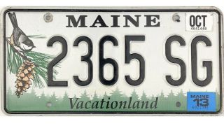 99 Cent Current Style Maine Chickadee License Plate 2365sg