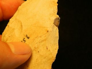 I Authentic Native American Indian artifact arrowheads point 5