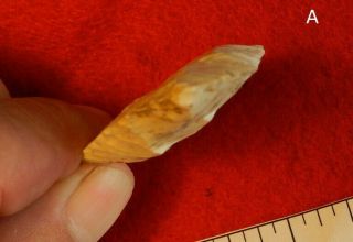 A Authentic Native American Indian artifact arrowheads point 5