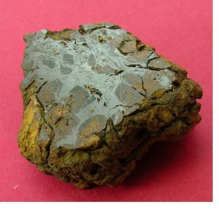 Sericho Pallasite Meteorite - 27.  6 Gram Polished End Cut