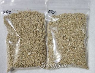 100 Grams Value Pack - Natural Star Sand Sample From Okinawa Japan Beach