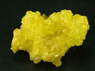 Large Yellow Sulfur Sulphur Cluster Bolivia - 1.  8 "