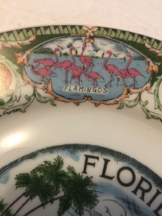 Vintage florida souvenir plate flamingos Disney World Daytona Miami Beach 3