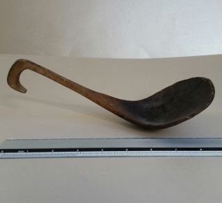 Antique Plains/ Western Great Lakes Wooden Ladle/Spoon,  19th C. 3