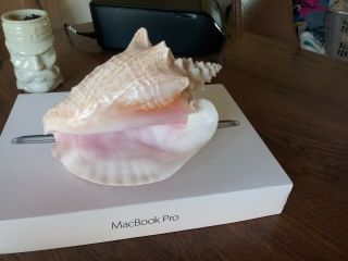 Conch Queen Sea Shell Large Pink Color " Hear The Ocean " Nautical Look.