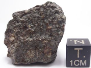 26.  39 G Nwa 869 Chondrite Meteorite