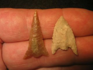 2 Authentic Central Texas Bird Point Arrowheads,  Prehistoric Indian Artifacts