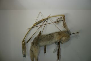 Native American Bow And Arrow Set With Coyote Hide Quiver (looks Handmade)