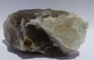 Sharp Microlite Xl W Smoky Quartz,  Albite - - White Rocks Qy,  Connecticut - - Label