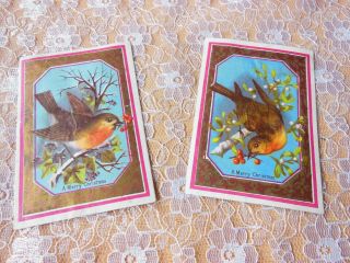 Victorian Christmas Cards/robins