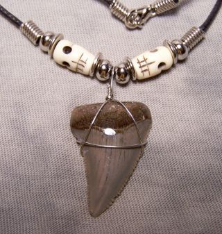 Megalodon Shark Tooth Necklace 1 1/4 " Fossil Teeth Fishing Scuba Dive Meg Tooth