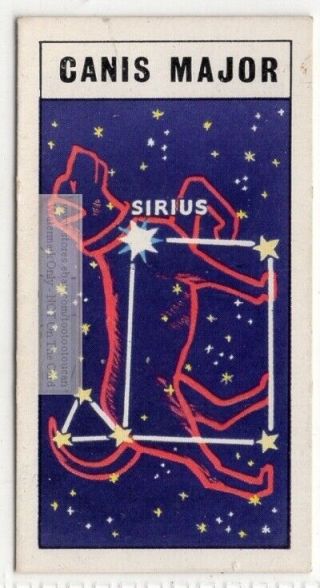 Canis Major Minor Dog Constellation Solar System Space Vintage Trade Card