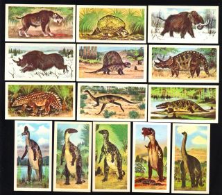 Cigarette/trade/cards.  Brooke Bond Tea.  Prehistoric Animals.  (1972).  (set Of 50)