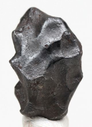 Sikhote - Alin Sculpted Iron Meteorite Specimen Witnessed Fall Russia