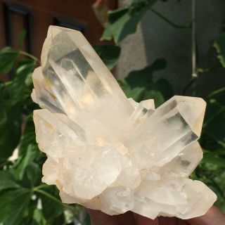 Natural White Quartz Crystal Cluster Mineral Specimen Healing 659g