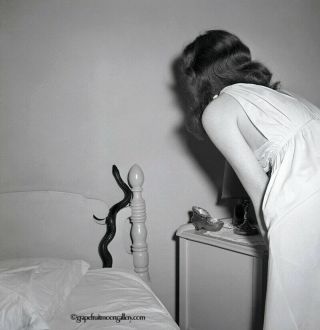 Bunny Yeager 1954 2 1/4 " 120mm Camera Negative Pin Up Girl Chases A Snake Oddity