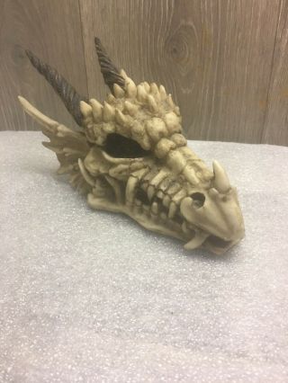 Dragon Skull Jewelry Trinket Stash Large 9.  5 " Box Hand Painted Polyresin