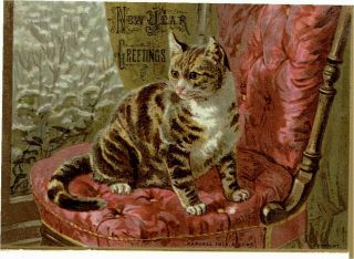 R Tuck Helena Maguire ? Artist Victorian Year Card Tabby Cat On Velvet Seat