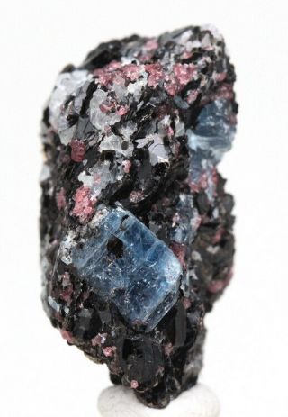 Rare Kyanite Gemmy Crystal Cluster Almandine Garnet Mineral Specimen Russia